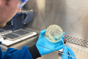 Kinvard Bio Antibiotics: Tackling Drug-Resistant Infections