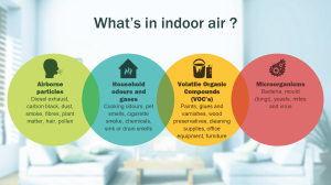 Indoor Air Quality: Understand Its Impact on Health