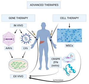 Hemophilia Gene Therapy: A Game-Changer for Patients